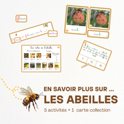 En savoir plus sur... les Abeilles 🐝