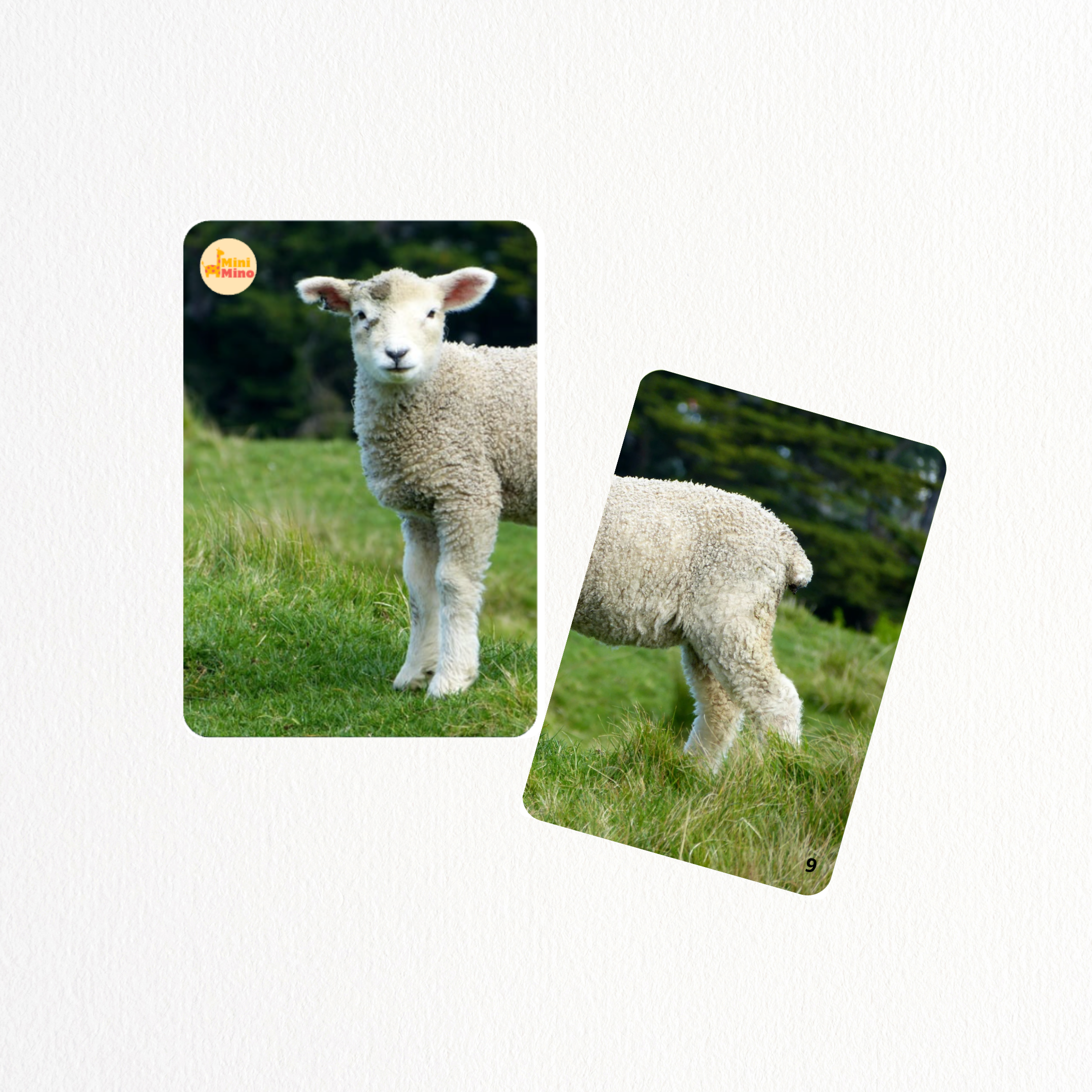 Pack Animaux de la Ferme 🐄 - Tout-Petits