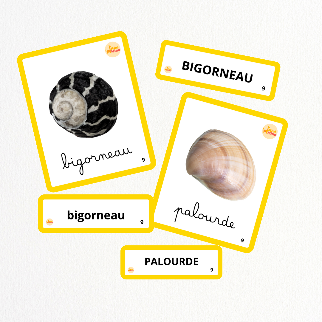 Bundle de l'Eté ☀️ - Meuble évolutif + Pack d'Activité de l'Eté