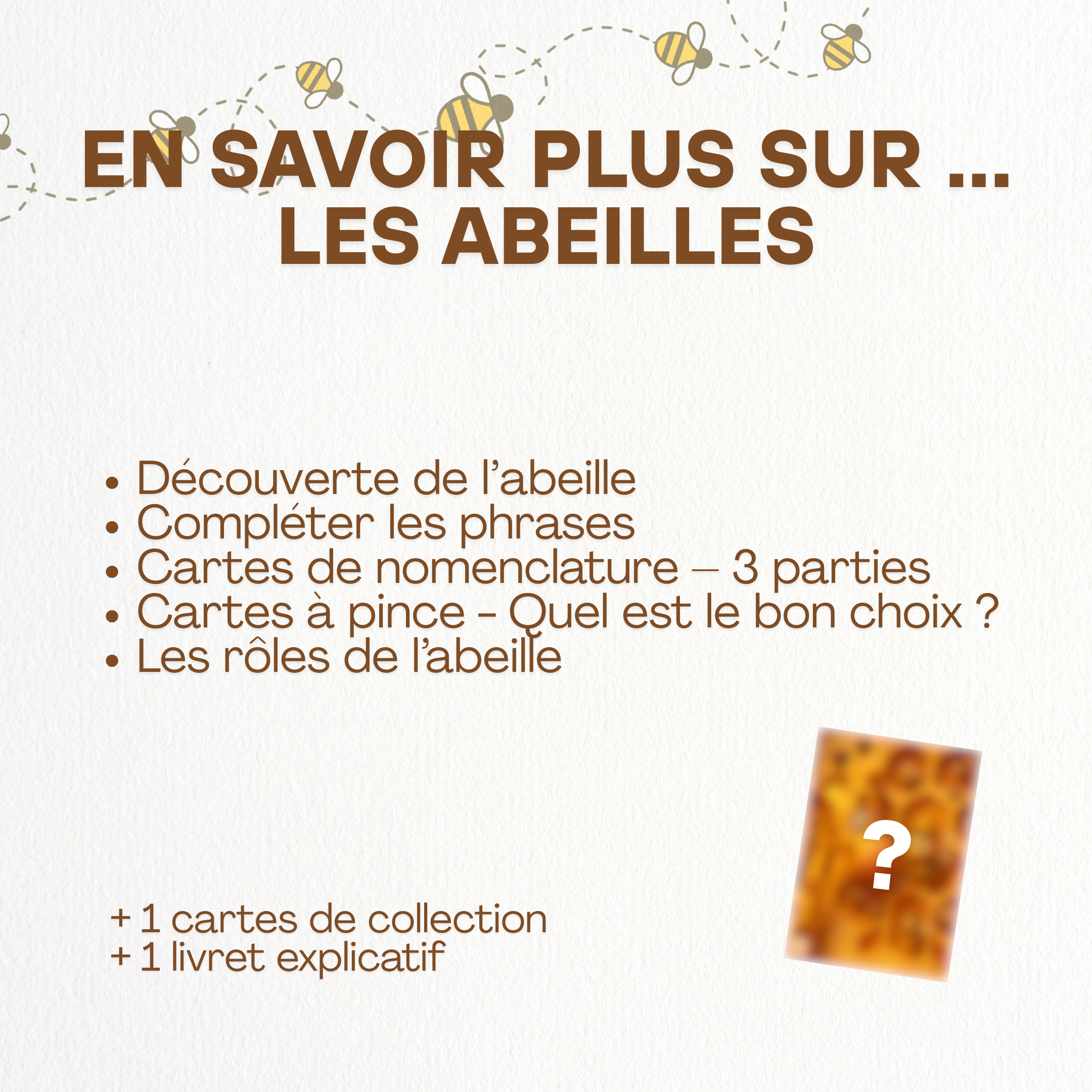 En savoir plus sur... les Abeilles 🐝