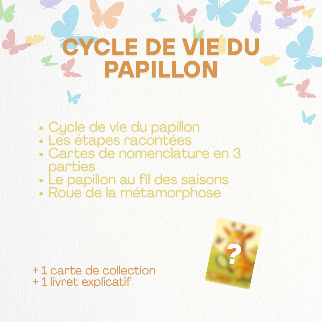 Cycle de vie - Papillon 🦋